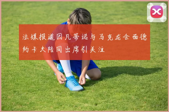 法媒报道因凡蒂诺与马克龙会面德约卡夫陪同出席引关注